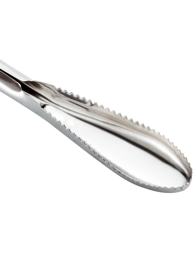 Oak Oak Stainless Steel Fish Scale Remover, Fish Scale Scraper, Fish Scale Knife, Fish Scale Brush, Fish Scale Removal Tool, C052  - Image 4