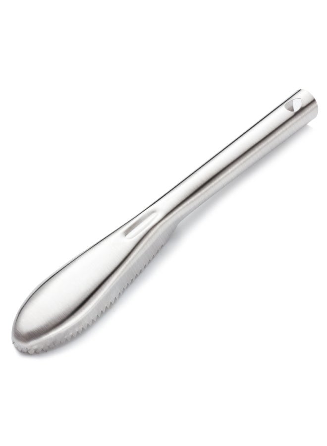 Oak Oak Stainless Steel Fish Scale Remover, Fish Scale Scraper, Fish Scale Knife, Fish Scale Brush, Fish Scale Removal Tool, C052  - Image 2