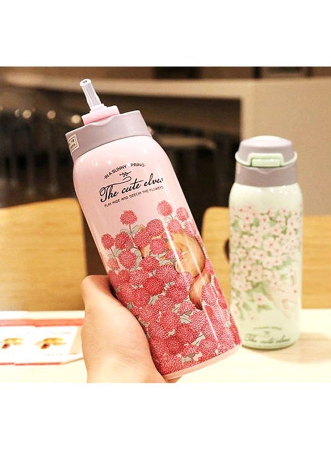 NIBEMINENT Double Wall Thermos Water Bottle With Straw Assorted 500ml - Image 5