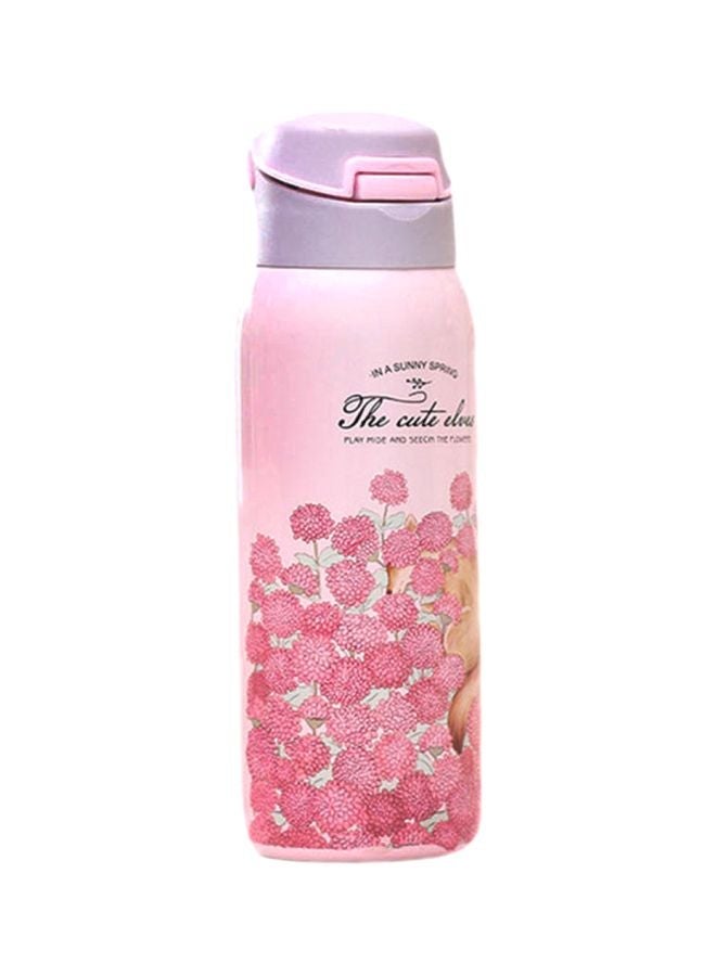 NIBEMINENT Double Wall Thermos Water Bottle With Straw Assorted 500ml - Image 1