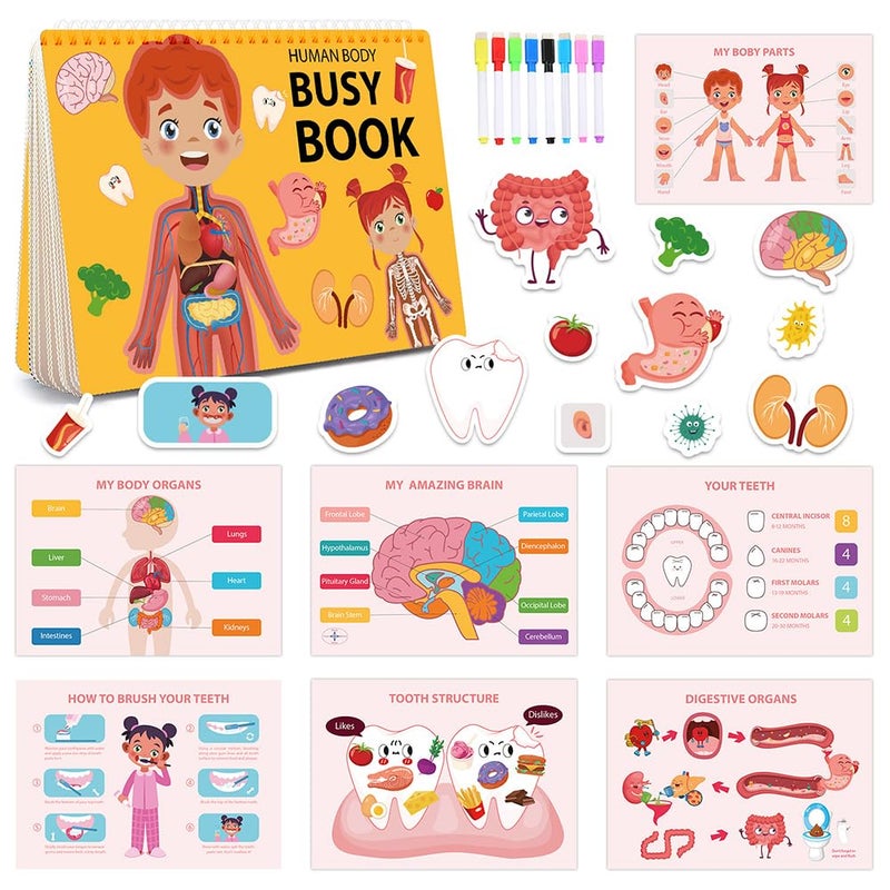Preschool Busy Book: Human Body Learning & Education Toys for Toddlers, 4 - 8 Years, Educational Busy Book with Interactive Elements (Flaps/Tabs)