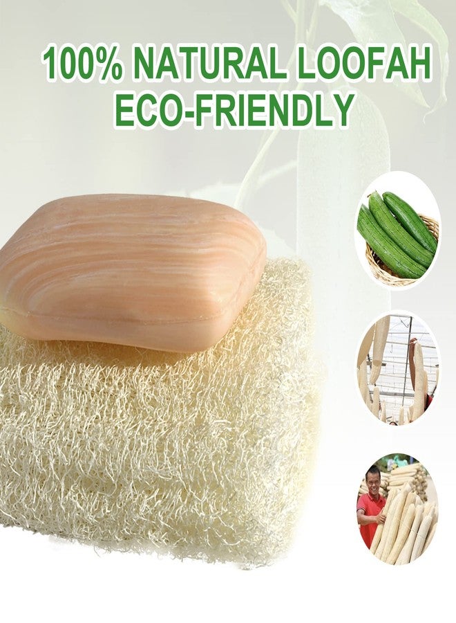 يافيجي 3 قطع من ليفة طبيعية لتقشير الجسم، مقشر مستدام للجسم برائحة الصابون المصري، لتنظيف شامل للجسم والوجه والظهر. صديق للبيئة - Image 2