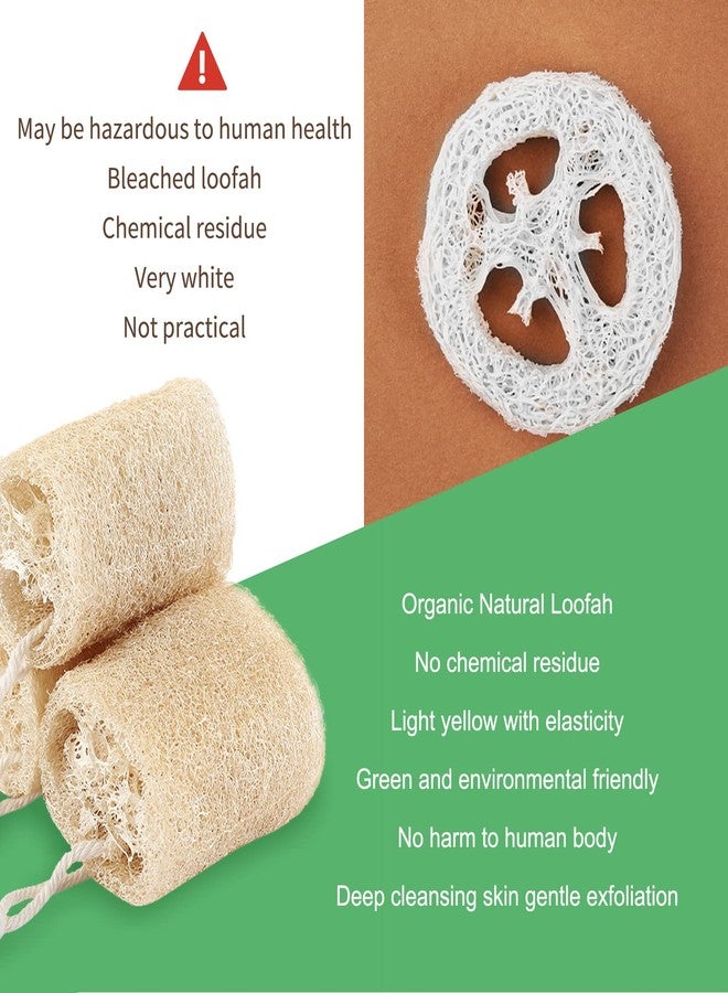 يافيجي 3 قطع من ليفة طبيعية لتقشير الجسم، مقشر مستدام للجسم برائحة الصابون المصري، لتنظيف شامل للجسم والوجه والظهر. صديق للبيئة - Image 3