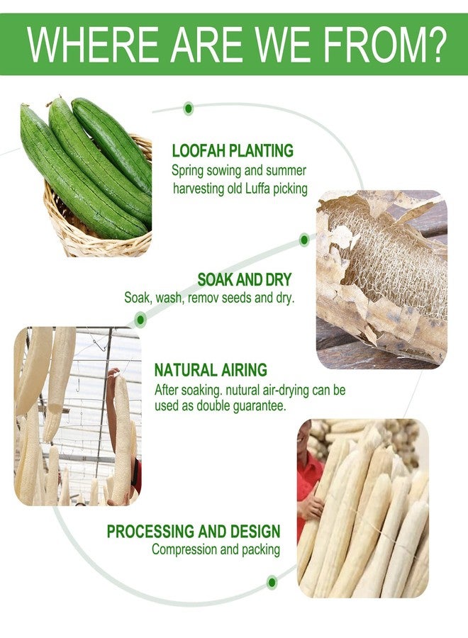 يافيجي 3 قطع من ليفة طبيعية لتقشير الجسم، مقشر مستدام للجسم برائحة الصابون المصري، لتنظيف شامل للجسم والوجه والظهر. صديق للبيئة - Image 4