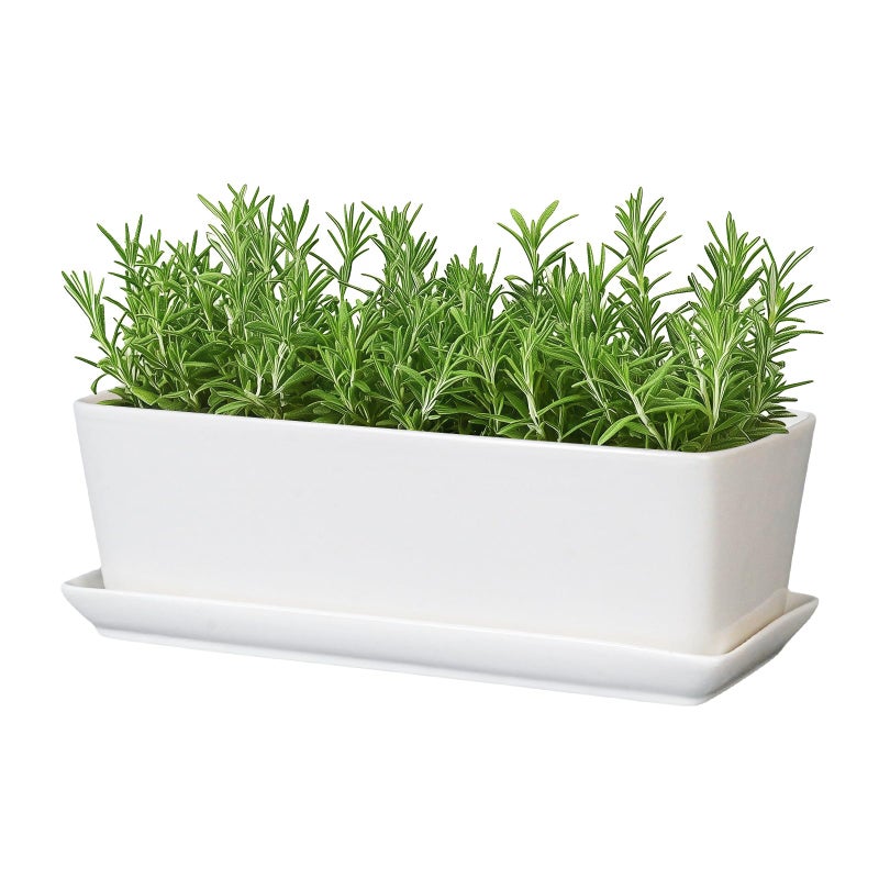 SQOWL Rectangular Planter - 10 Inch Ceramic Pots for Plants with Drainage Hole and Saucer, Succulent Pots for Indoor Outdoor, Cactus Herb Planter, Home Decor, Gifts for Plant Lovers, Glossy White - Image 1