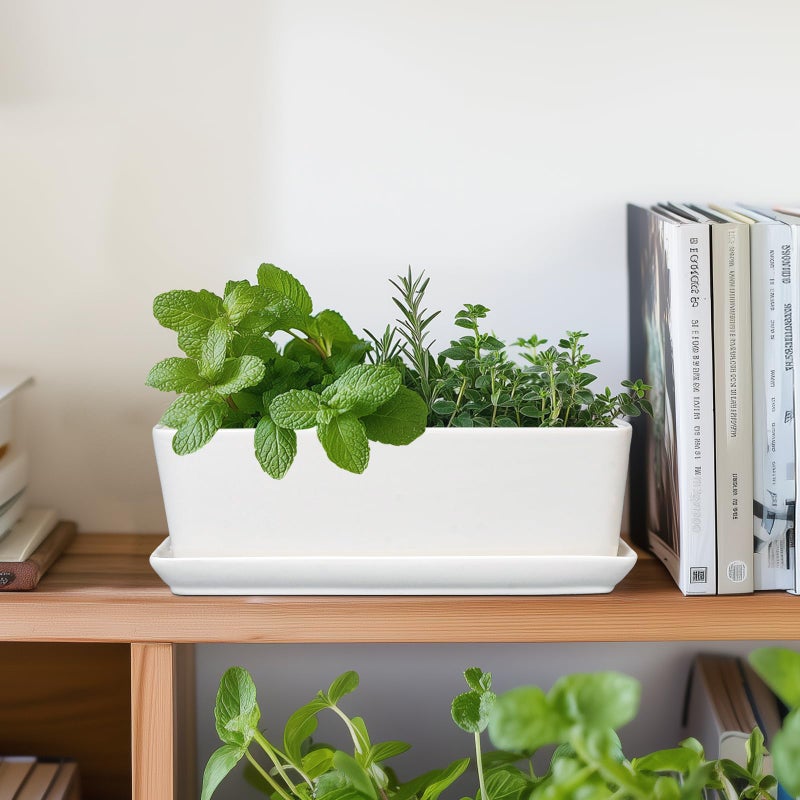 SQOWL Rectangular Planter - 10 Inch Ceramic Pots for Plants with Drainage Hole and Saucer, Succulent Pots for Indoor Outdoor, Cactus Herb Planter, Home Decor, Gifts for Plant Lovers, Glossy White - Image 5