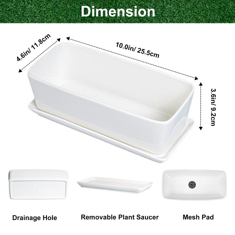 SQOWL Rectangular Planter - 10 Inch Ceramic Pots for Plants with Drainage Hole and Saucer, Succulent Pots for Indoor Outdoor, Cactus Herb Planter, Home Decor, Gifts for Plant Lovers, Glossy White - Image 3