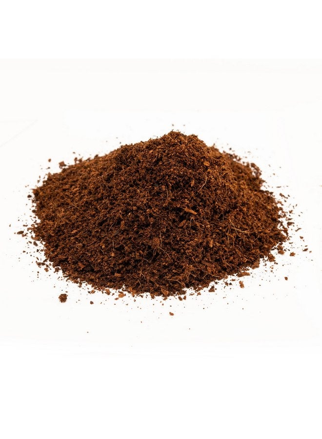 زوو ميد مجموعة Zoo Med Eco Earth للحيوانات الصغيرة والحشرات [مجموعة من 3] الحجم: مكعب واحد - Image 2