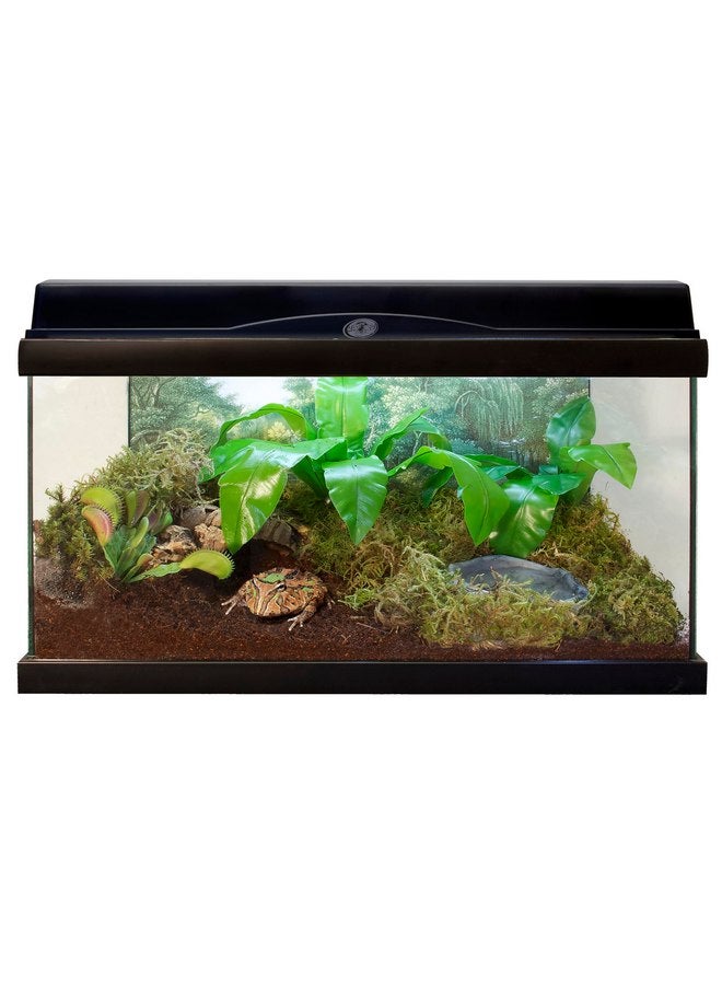 زوو ميد مجموعة Zoo Med Eco Earth للحيوانات الصغيرة والحشرات [مجموعة من 3] الحجم: مكعب واحد - Image 5