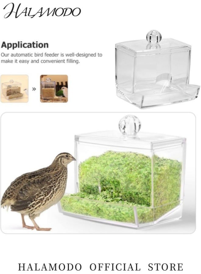 HALAMODO Automatic Bird Feeder No Mess Pet Feeder Seed Food Container Perch Cage Accessories for Budgerigar Canary Cockatiel Finch Parakeet - Image 5