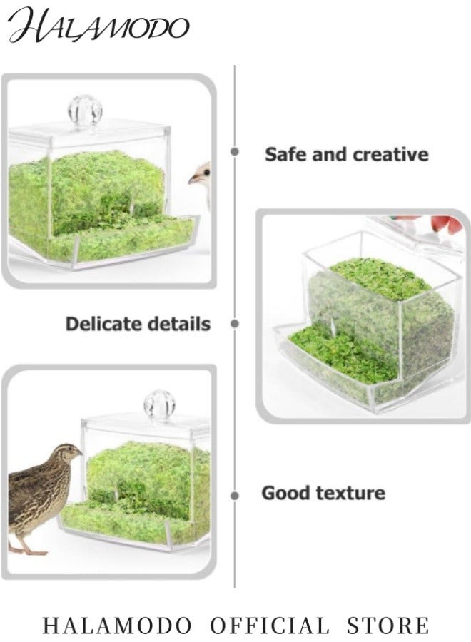 HALAMODO Automatic Bird Feeder No Mess Pet Feeder Seed Food Container Perch Cage Accessories for Budgerigar Canary Cockatiel Finch Parakeet - Image 3