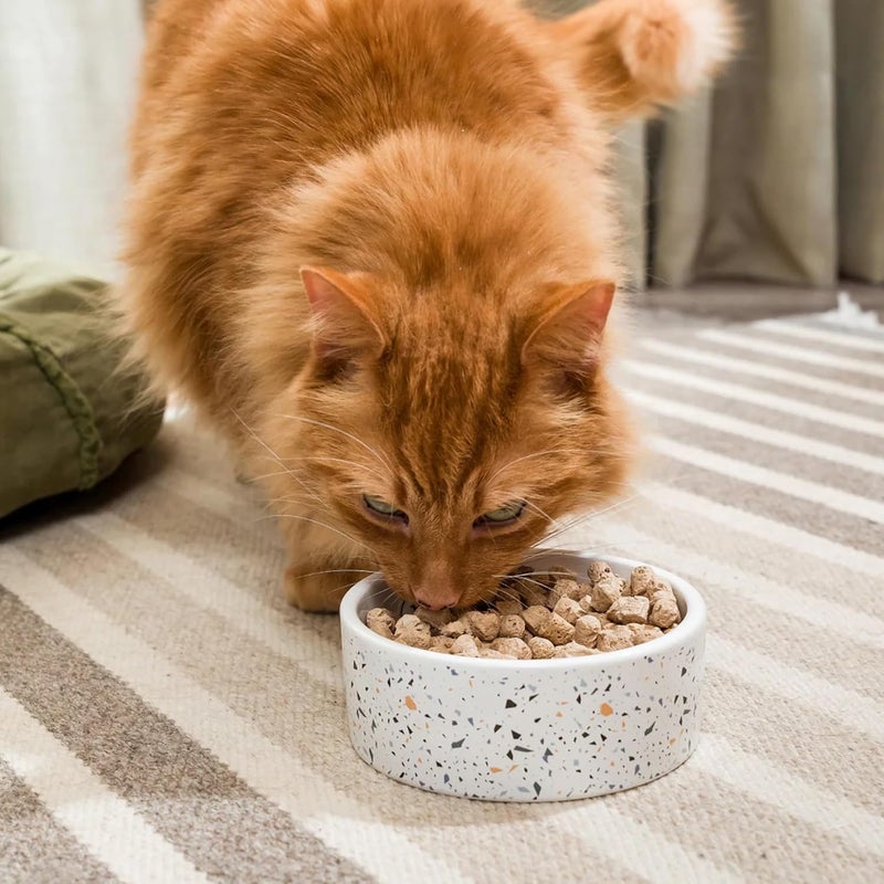 Open Farm وصفة سمك السلمون والقد المجفف بالتجميد للقطط 99 جرام - Image 4