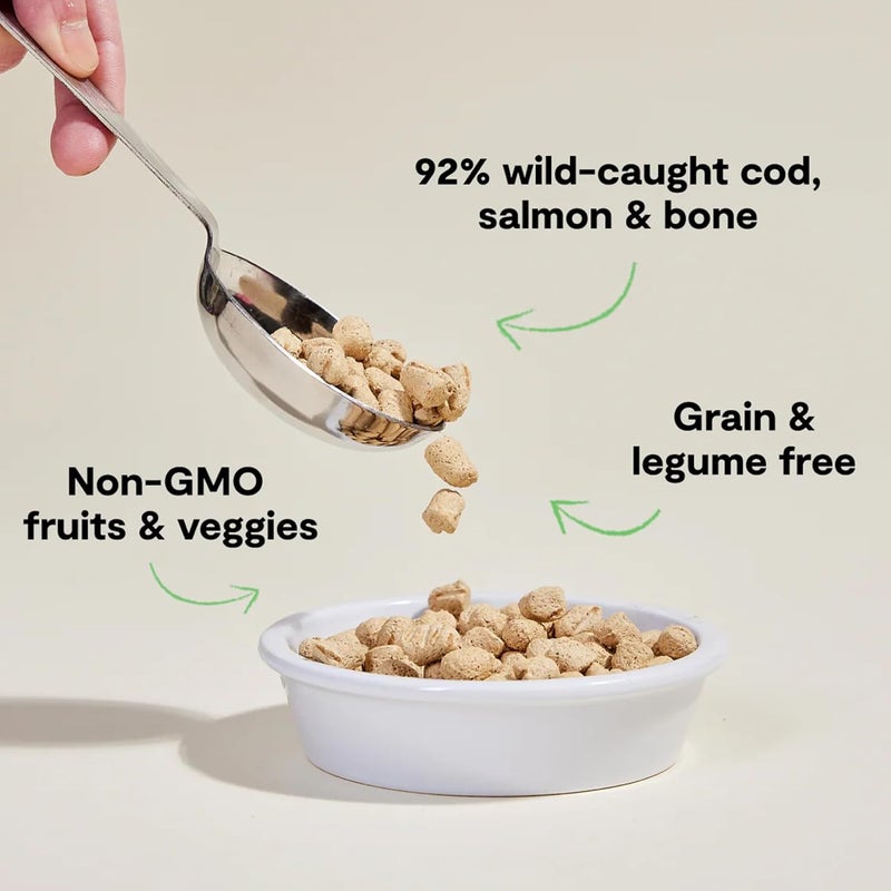 Open Farm وصفة سمك السلمون والقد المجفف بالتجميد للقطط 99 جرام - Image 2