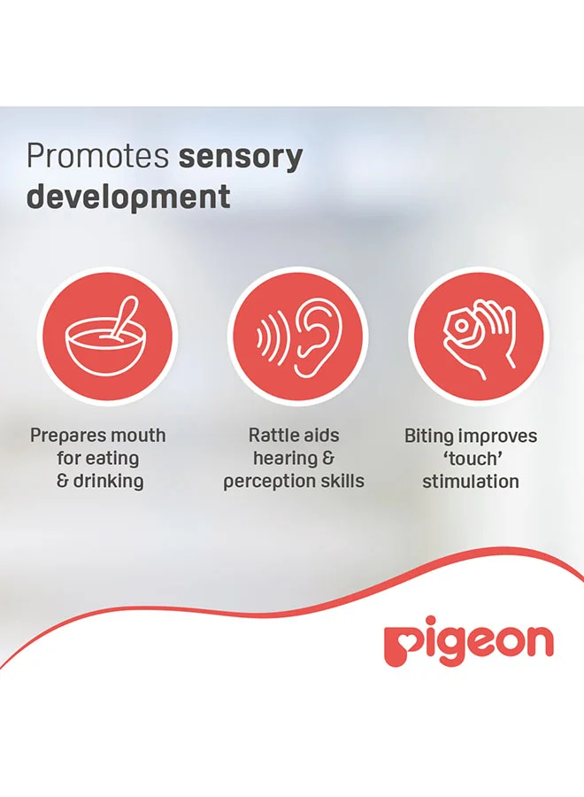 pigeon Training Teether Step 2