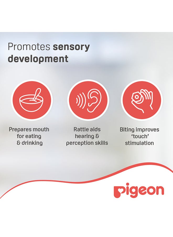 pigeon - Training Teether Step 2 - Image 1
