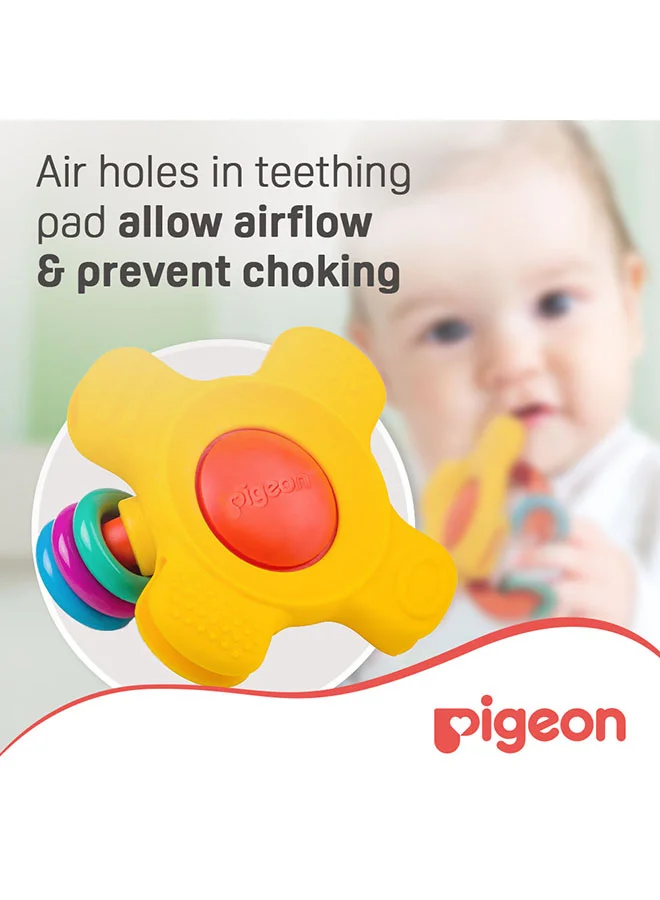 pigeon Training Teether Step 2