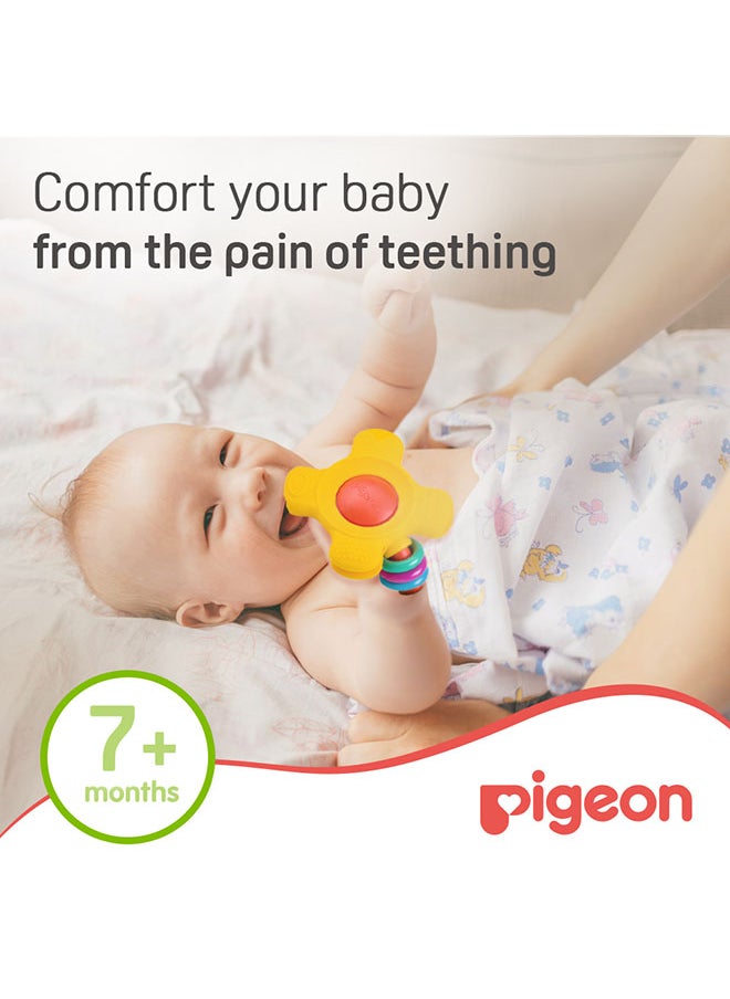 pigeon - Training Teether Step 2 - Image 1