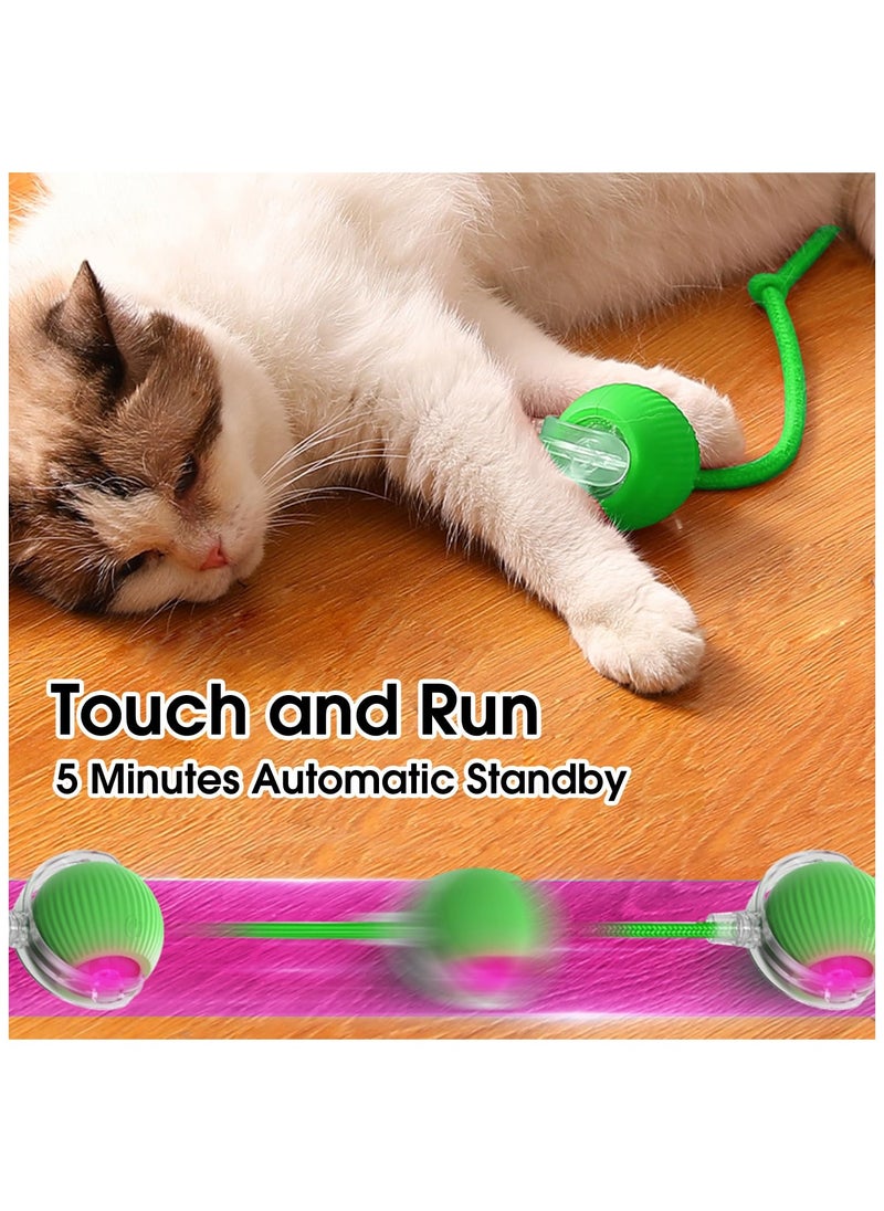 RTYY - Interactive Rolling Cat Toys Ball, Interactive Rolling Dog Ball, Motion Activate Rolling Pet Toys, Automatic Self Moving Dog/Cat for Indoor Cats Toys Fast Rolling on Carpet - Image 1