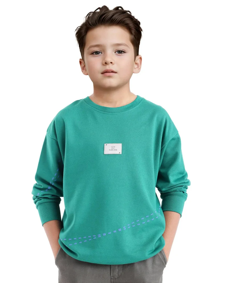 Rare Ones Rare Ones Kids Kole Green Cotton Poly Full Sleeve HD Print Sweatshirt