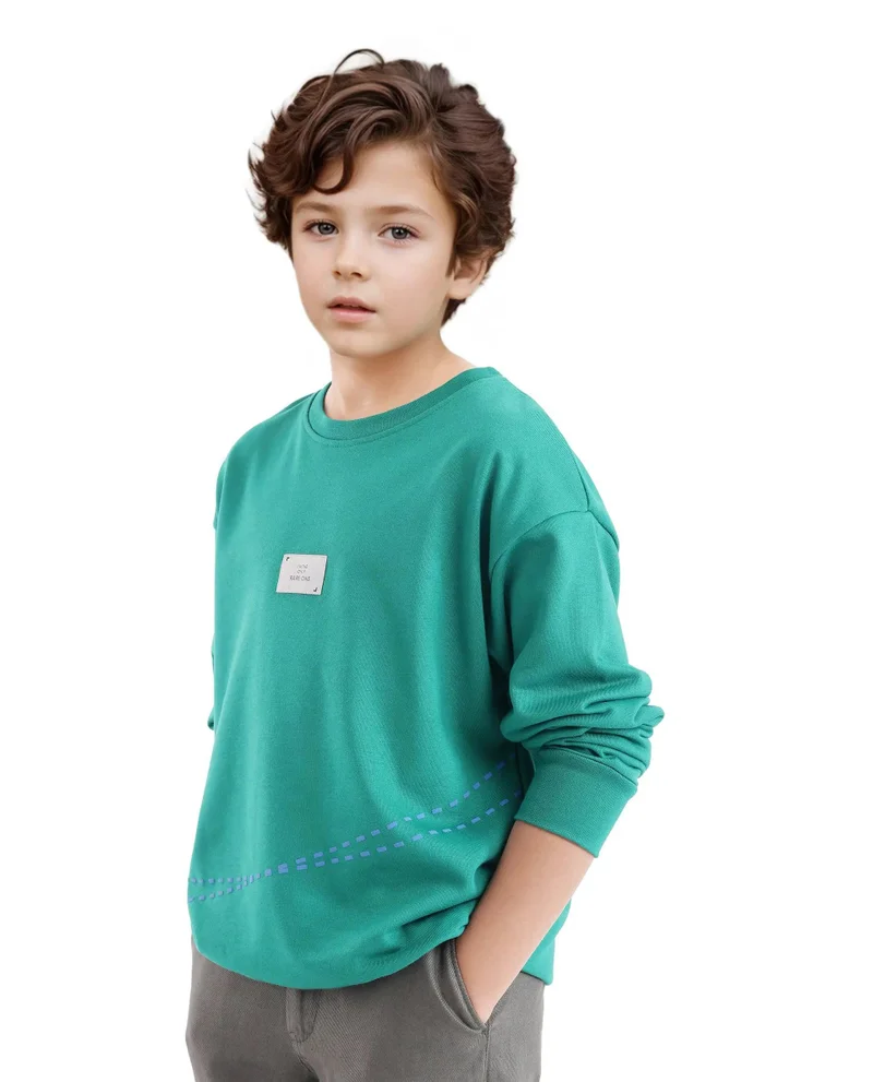 Rare Ones Rare Ones Kids Kole Green Cotton Poly Full Sleeve HD Print Sweatshirt