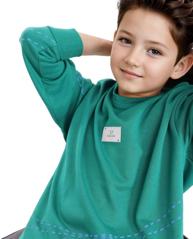 رير ونز Rare Ones Kids Kole Green Cotton Poly Full Sleeve HD Print Sweatshirt