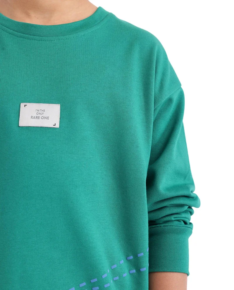 Rare Ones Rare Ones Kids Kole Green Cotton Poly Full Sleeve HD Print Sweatshirt