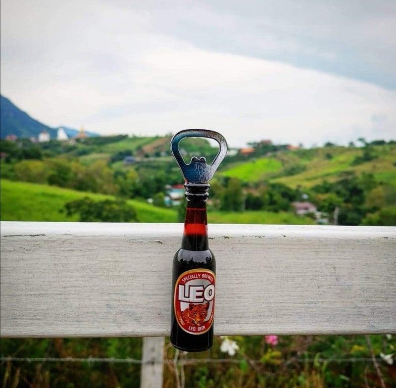 ISSAREE Magnetic Beer Bottle Opener Figure Beer Bottle Bar Refrigerator Decor Unique Birthday Gifts Collection (Leo Beer) - Image 4