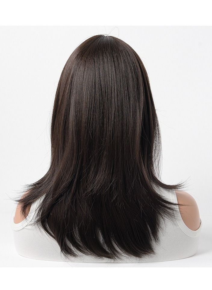 إستيل شعر مستعار كامل للباروكة الاصطناعية مقاومة للحرارة شعر مستعار طبيعي طويل مستقيم مع الانفجارات سيدة الألياف شعر مستعار أنيق أسود بني - Image 4