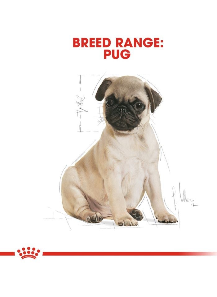 ROYAL CANIN Breed Health Nutrition Pug Puppy 1.5 KG - Image 3