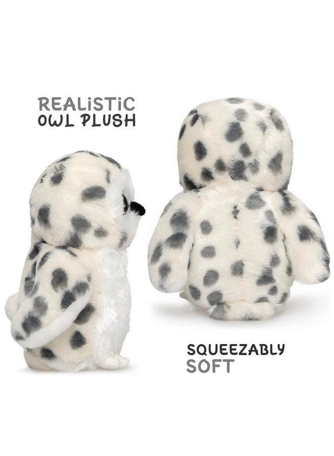Jolitee Hedda Owl Stuffed Animal, Stuffed Owl Plush Toy (Hedda Own Book Set) - Image 2
