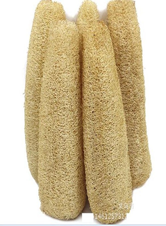 Generic Long Natural Loofa/Loofah Ridge Guard( Pack Of 12) - Image 2