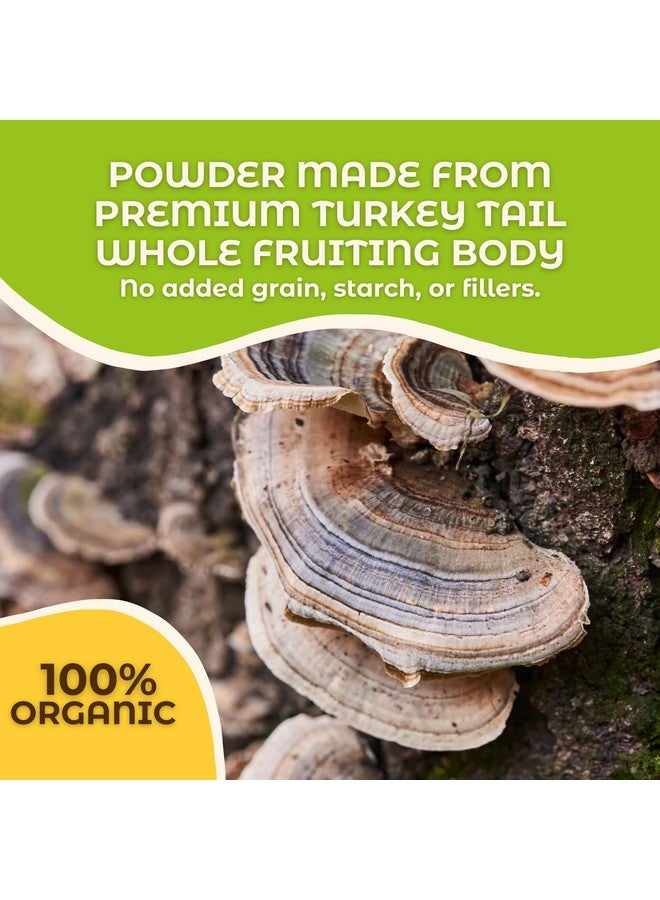 Hongo Mushroom Power - Turkey Tail Mushroom Powder - Image 3