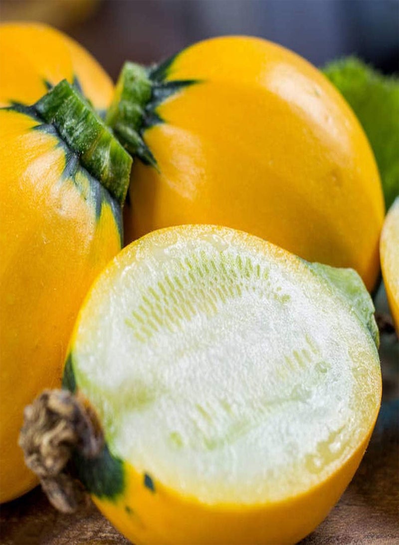 جي جوت 10 قطع بذور الكوسة الصفراء المستديرة الصيفية للحديقة في الفناء المزرعة الخارجية زراعة الدفيئة الكروم المتسلقة الزراعة الزخرفية سهلة الصيانة المنخفضة مناسبة للبستانيين المبتدئين - Image 3