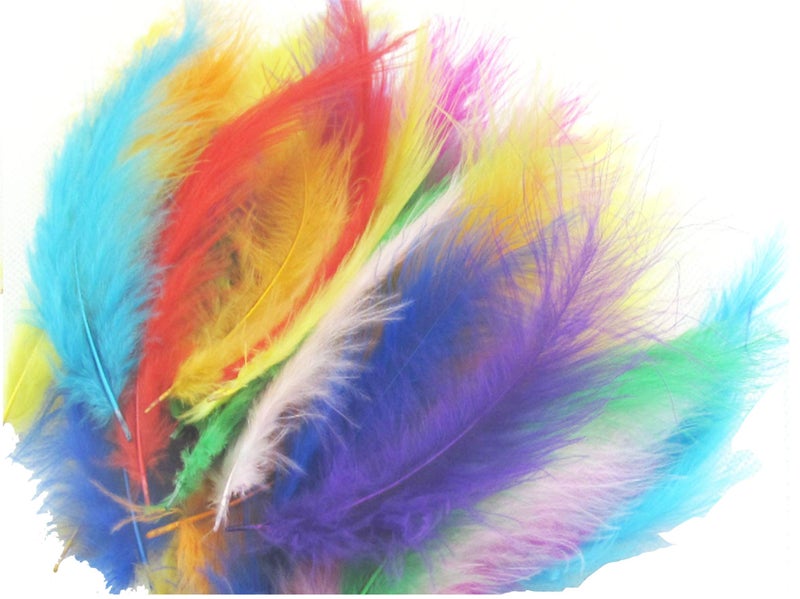TBUY ROSE 356 inch 915cm Colorful Ostrich Feathers for DIY Dream Catchers Crafts Bulk Feathers Assorted Colors Home Decoration DIY Craft 500 Pack