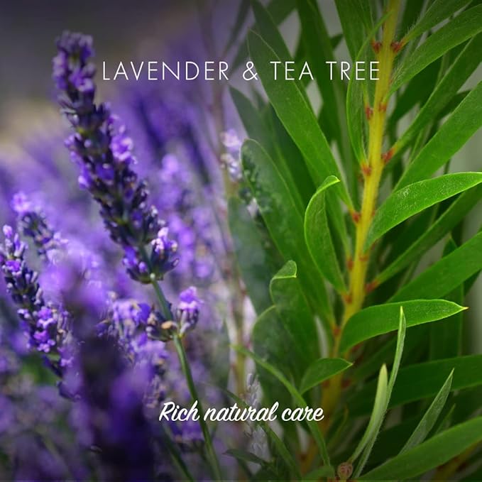 Friendly Soap Handmade Natural Lavender Tea Tree Shampoo Bar Antibacterial Rich Nourishing 95g Pack of 2 - Image 3