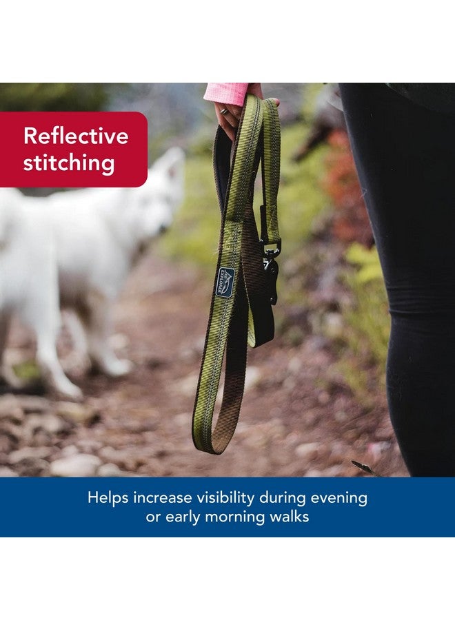 كوستال مقود كلب Coastal Pet K9 Explorer العاكس مع مشبك مقص - مقود نايلون متين - مقود للكلاب والجراء - مستلزمات الحيوانات الأليفة للكلاب - أزرق ياقوتي، 5/8 بوصة × 6 أقدام - Image 3