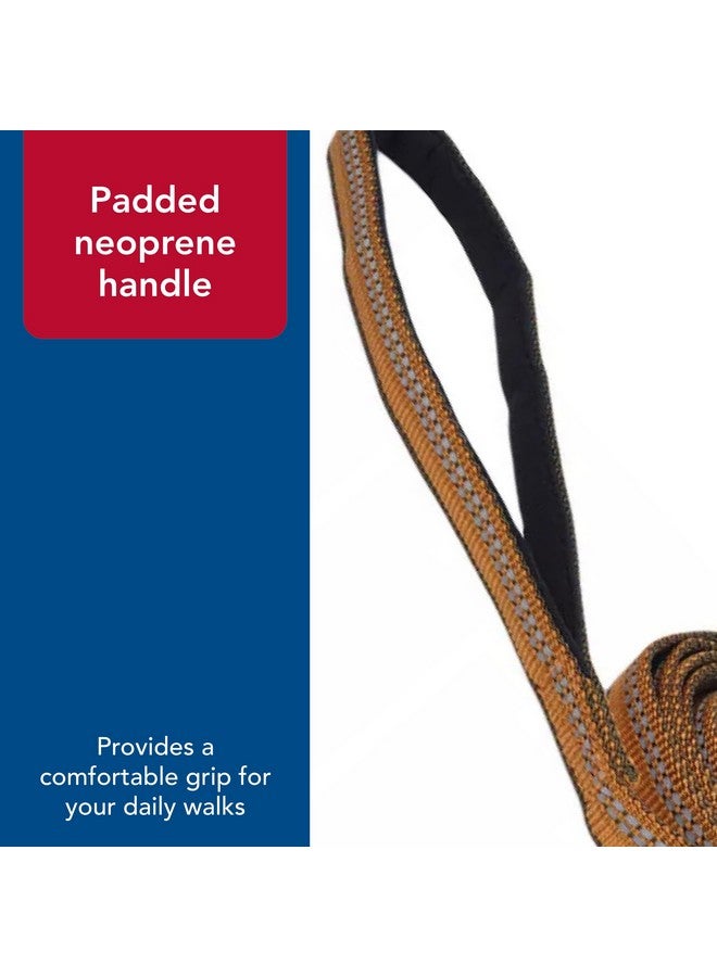 كوستال مقود كلب Coastal Pet K9 Explorer العاكس مع مشبك مقص - مقود نايلون متين - مقود للكلاب والجراء - مستلزمات الحيوانات الأليفة للكلاب - أزرق ياقوتي، 5/8 بوصة × 6 أقدام - Image 5