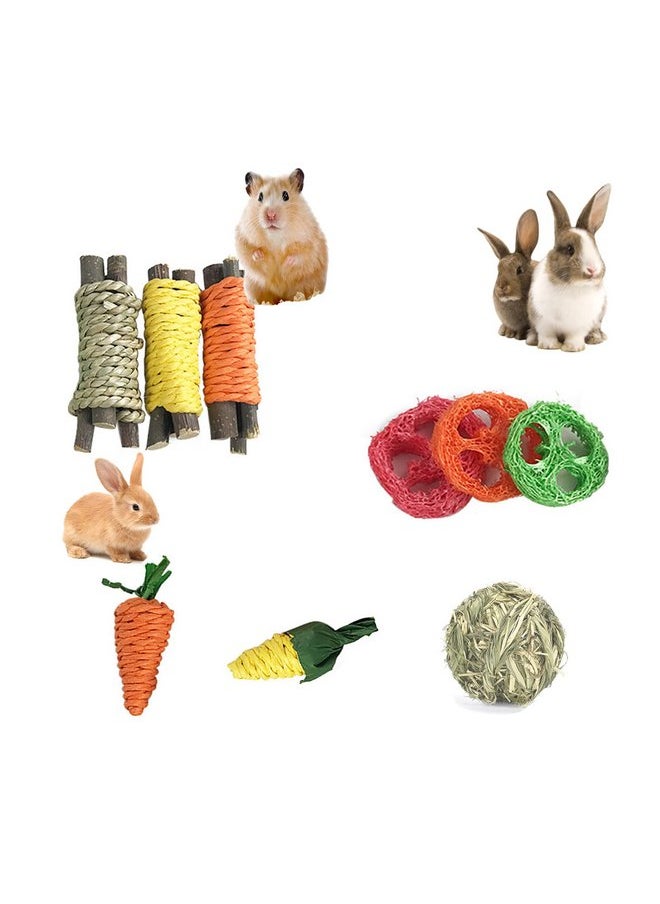 Alibuy - Rabbit Chew Toys 9PCS for Teeth Care,Cute Bunny Toys Natural Apple Wood Grass Toys Chewing and Treat for Guinea Pigs Hamster Chinchillas Hedgehog Small Animals (9PCS/Set) - Image 1