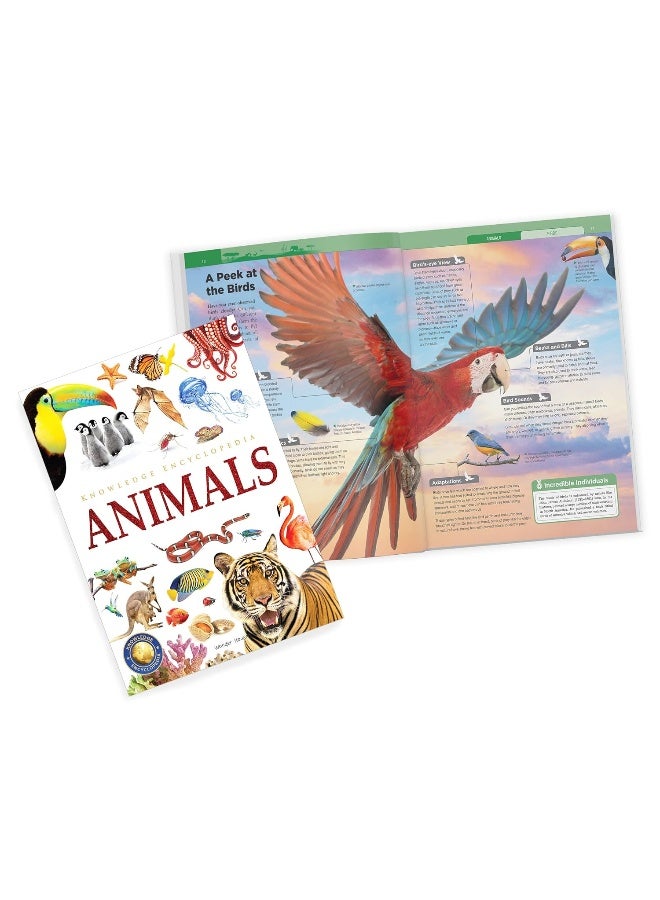Knowledge Encyclopedia - Boxset of 8 Books for Children - Image 5