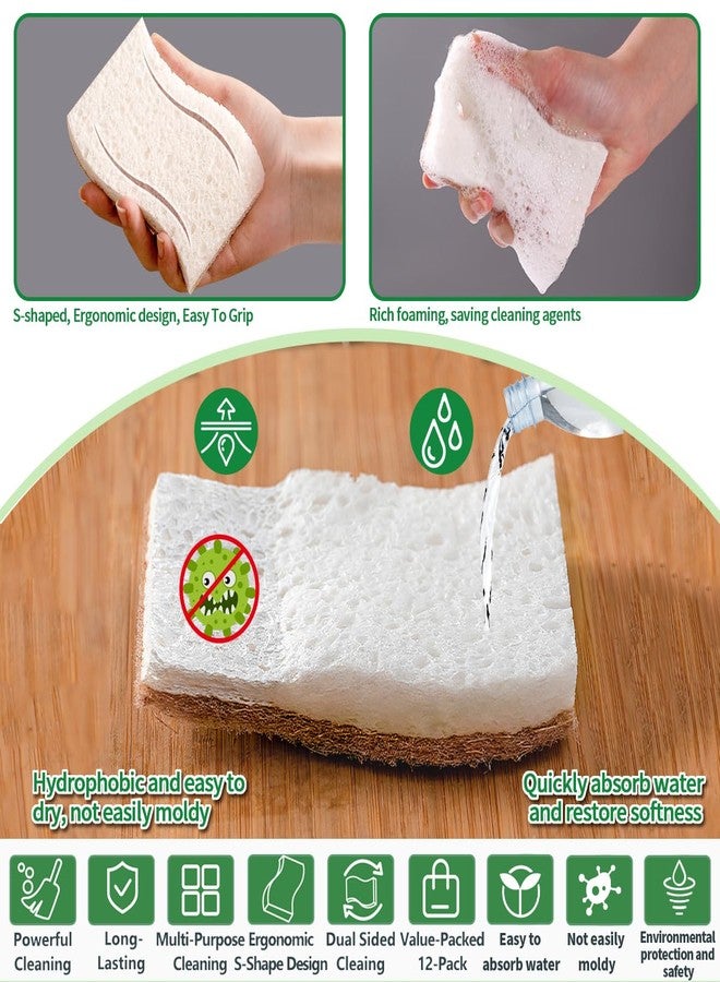 PUCITY Sponges Kitchen Natural Dish Sponge Plant-Based Biodegradable Compostable Cellulose with Coconut Scrubber Sponge Non Scratch Pack of 12 Eco Friendly Kitchen sponges for Kitchen Dishes - Image 2