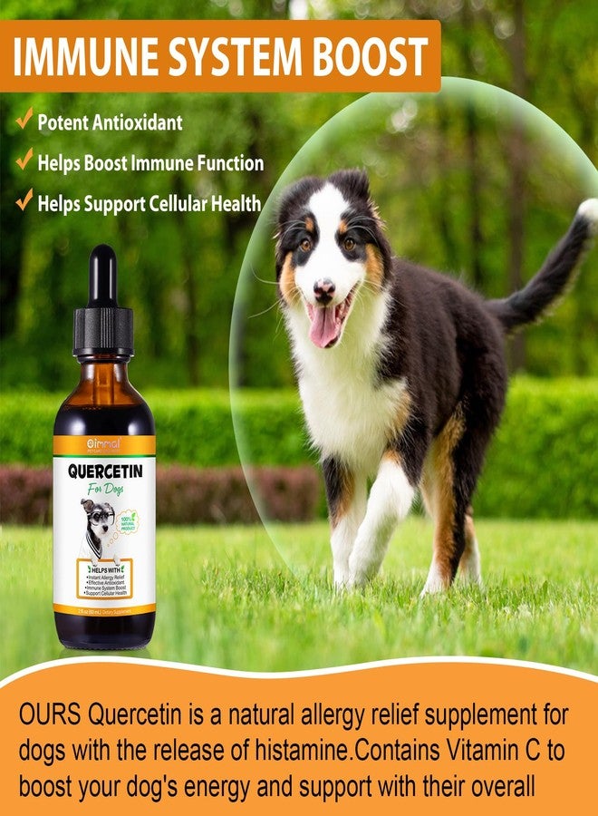 VOSIFSDIY Quercetin for Dogs, Dog Quercetin Liquid Drops, Dog Quercetin Herbal Supplement Support Allergy Relief,Cellular Health, Immune Boost, Antioxidant -60 ml - Image 5