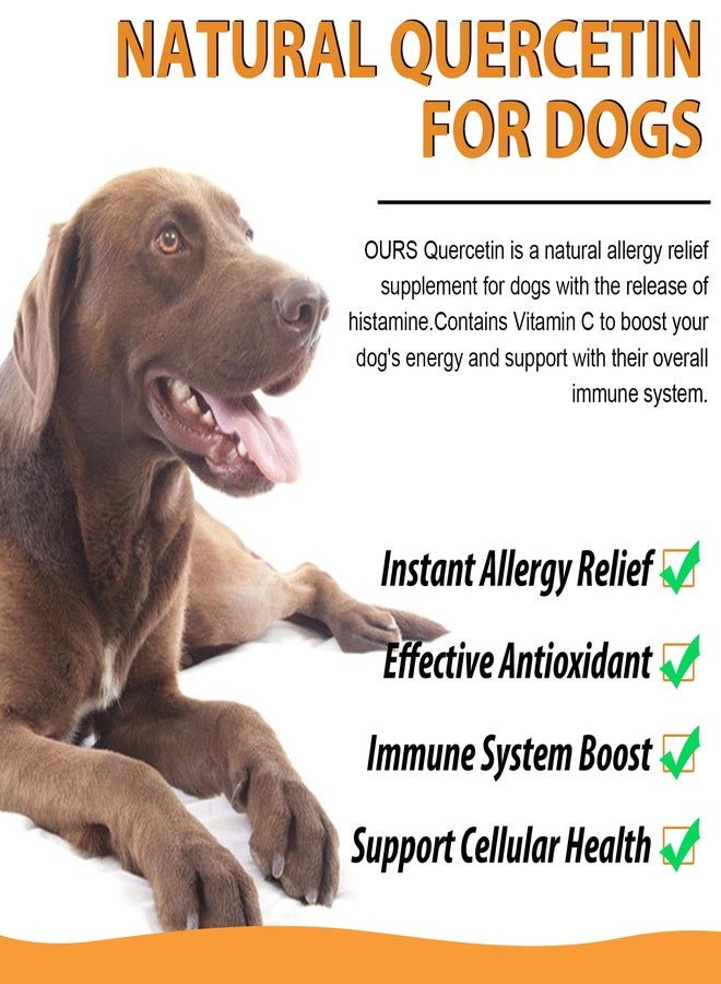 VOSIFSDIY Quercetin for Dogs, Dog Quercetin Liquid Drops, Dog Quercetin Herbal Supplement Support Allergy Relief,Cellular Health, Immune Boost, Antioxidant -60 ml - Image 4
