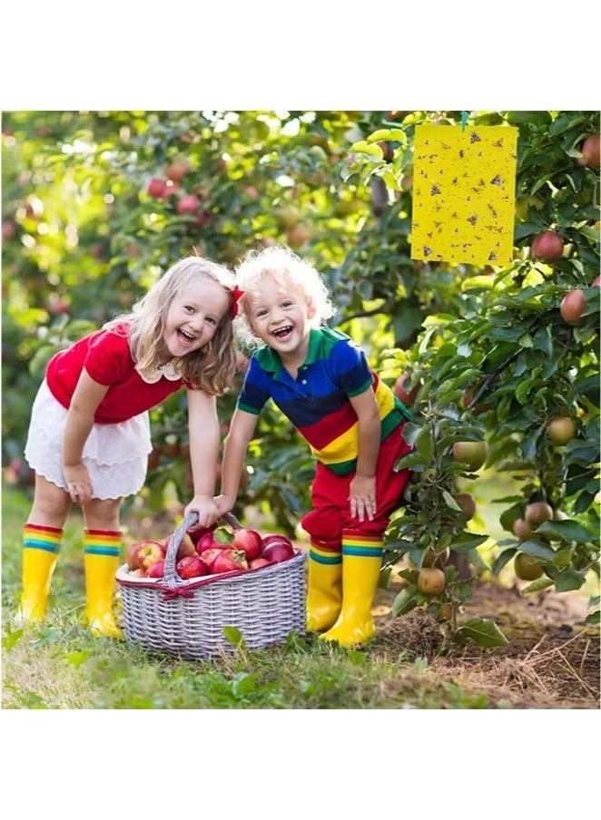 ZVEV 20Pcs Yellow Double-sided Sticky Traps For Bug, Fly Trap, Insect Trap, Catch Multiple Flying Insects With Natural Mold Control Sticker, Perfect For Gardening 25cmx20cm - Image 3