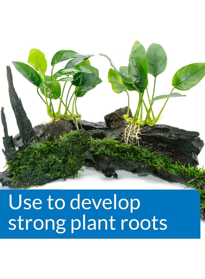 Api Root Tabs Aquarium Plant Fertilizer, 10-Count, Multicolor Multicolor - Image 2