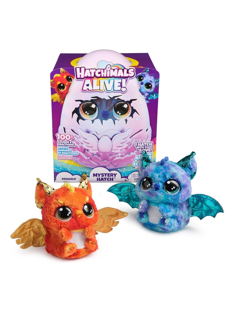 Hatchimals Alive Secret Draggle 6072544 - 1 Piece Only, Assorted/Style May Vary - Image 1