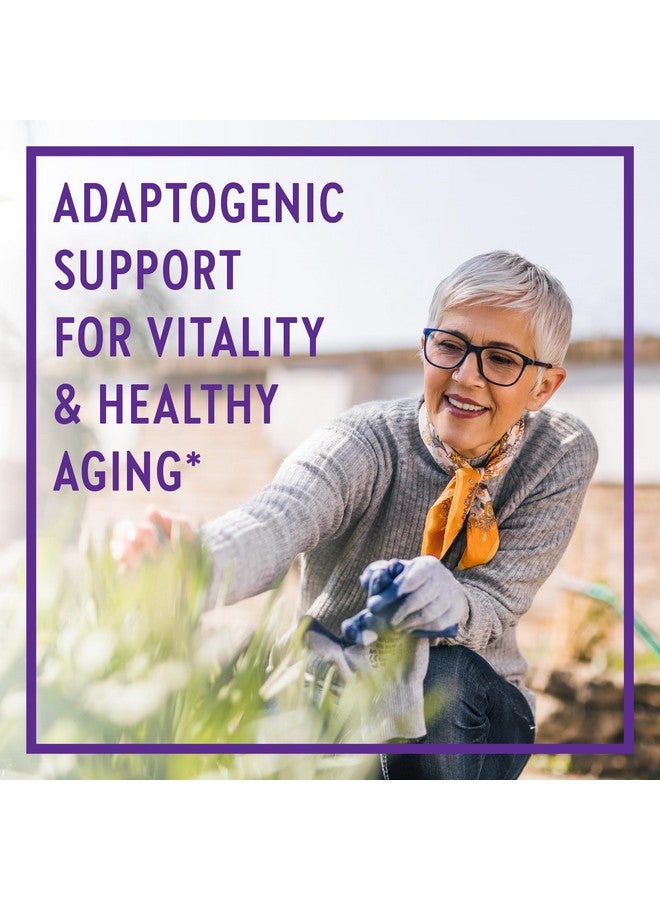 New Chapter Superfood Reishi Mushroom Capsules - Certified Organic USA-Grown 100% Vegan Mushroom Supplement for Vitality Support* Non-GMO, Certified Gluten Free, 60 ct - Image 2