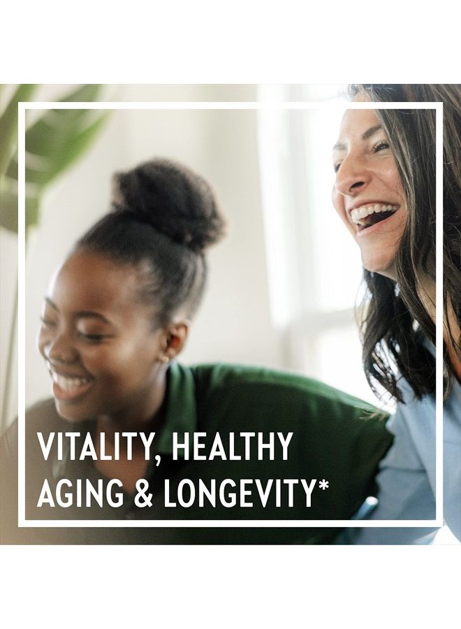 New Chapter Reishi Mushroom - LifeShield Reishi for Healthy Aging + Organic Reishi Mushroom + Vegan + Non-GMO, Nootropic Ingredients - 60 ct - Image 2