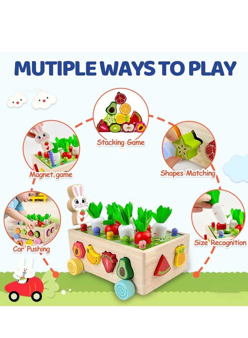 Montessori Wooden Educational Toys for Boys Girls, Shape Sorting Size Matching Toys Gifts for Kids, Wood Preschool Learning Fine Motor Skills Game  - Image 2