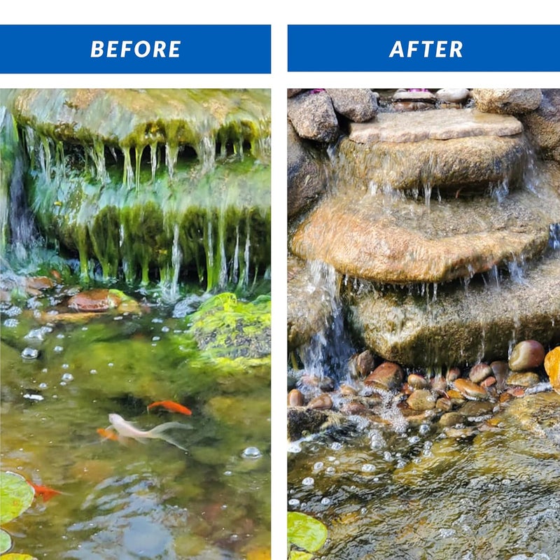 Crystal Clear Algae D-Solv Pond Algae Control, Fast-Acting EPA Registered Algaecide, Use in Fountains & Outdoor Ponds Containing Koi & Other Fish, Treats 115,200 Gallons, 2.5 Gallons - Image 2