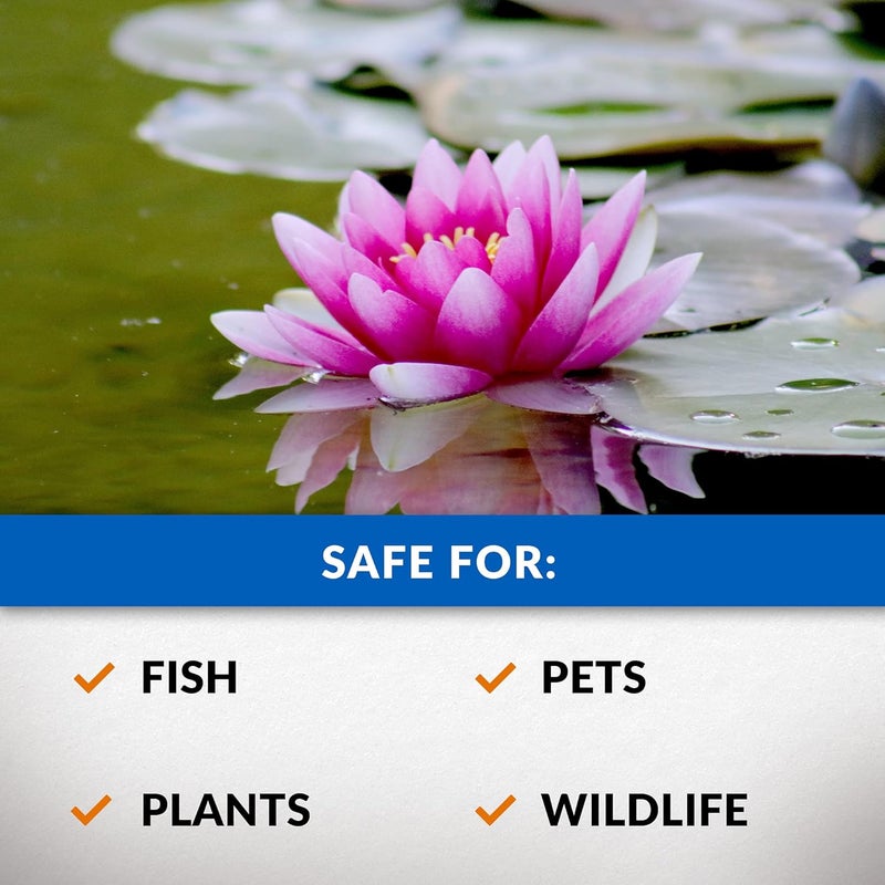 Crystal Clear Algae D-Solv Pond Algae Control, Fast-Acting EPA Registered Algaecide, Use in Fountains & Outdoor Ponds Containing Koi & Other Fish, Treats 115,200 Gallons, 2.5 Gallons - Image 4